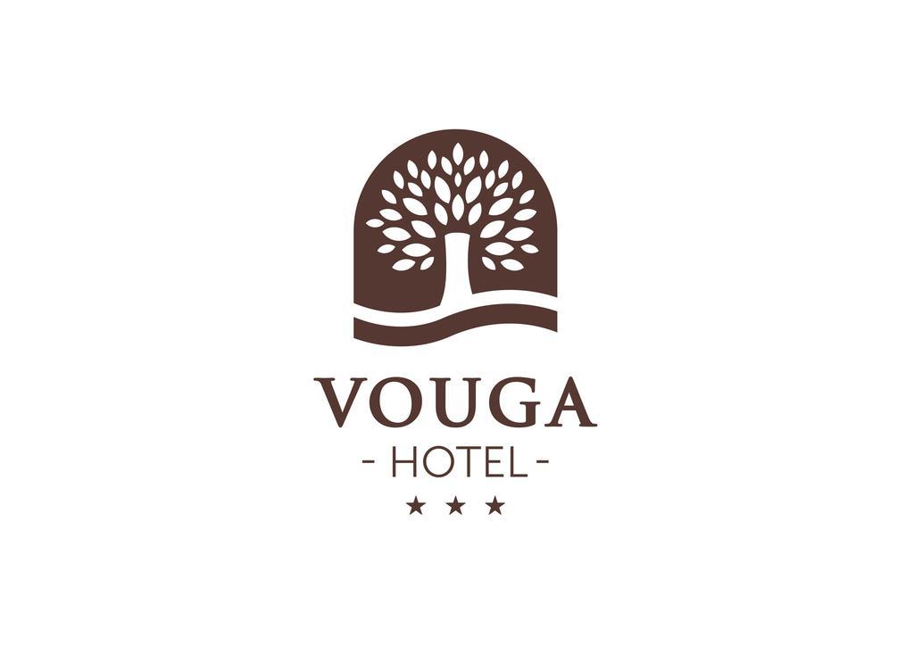 Hotel Vouga Termas de Sao Pedro do Sul Exterior photo